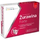 Biocanto Cranberry Forte 60 Tabletten