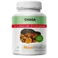 MycoMedica Chaga 50% 90 Kapseln