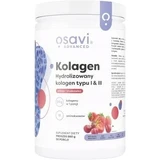 Osavi Collagen Hydrolysiertes Kollagen Typ I & III ...