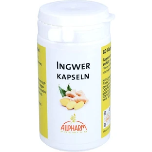 INGWER CAPSULAS 300 mg 60 uds.