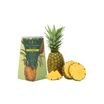 Set aus 2 Schachteln Tee für die Gewichtskontrolle + doppelwandige Flasche mit Teesieb