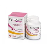 CYSTOCURE FORTE 30 TABLETS
