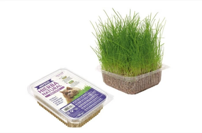 Nayeco kattenkruid - 120g