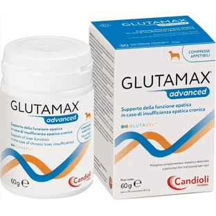GLUTAMAX Advanced 30 tabletten