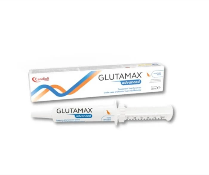 GLUTAMAX advanced pasta 30 ml