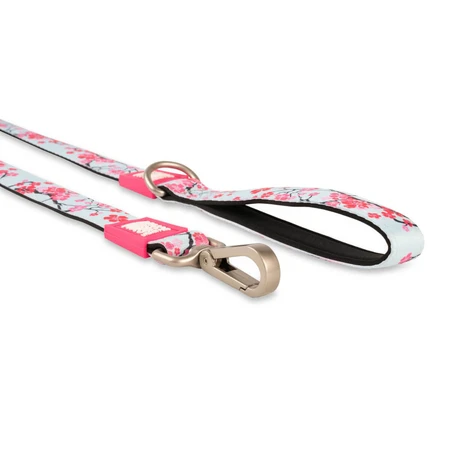MAX & MOLLY Cherry Bloom, correa para perros, poliéster, azul y rosa, M(1,2m x 2cm)