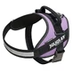 JULIUS-K9 IDC Power, pettorina per cani, 2XL, 40-70kg, viola