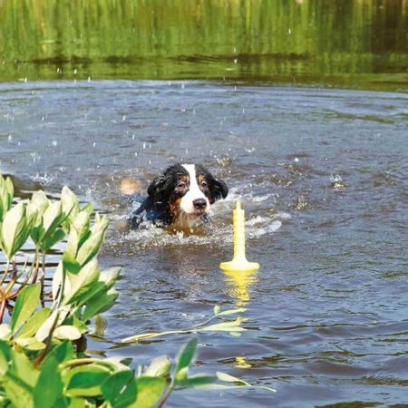 TRIXIE, MOT-Aqua, schwimmendes Apportierspielzeug für Hunde, Polyurethan, 29cm, gelb