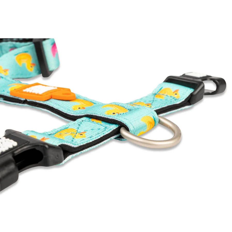MAX & MOLLY Ducklings, pettorina doppia (petto e schiena) per cani, poliestere, blu, fibbia a tridente, S(43-53 x 1,5 cm)