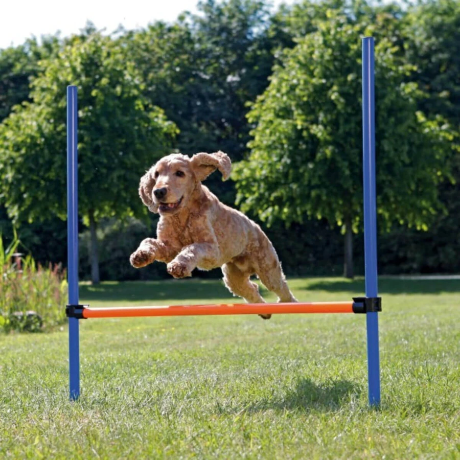 TRIXIE Agility Hurdle, jouet d'obstacle pour chiens, plastique, 129cm x 115cm x 3cm, bleu avec orange
