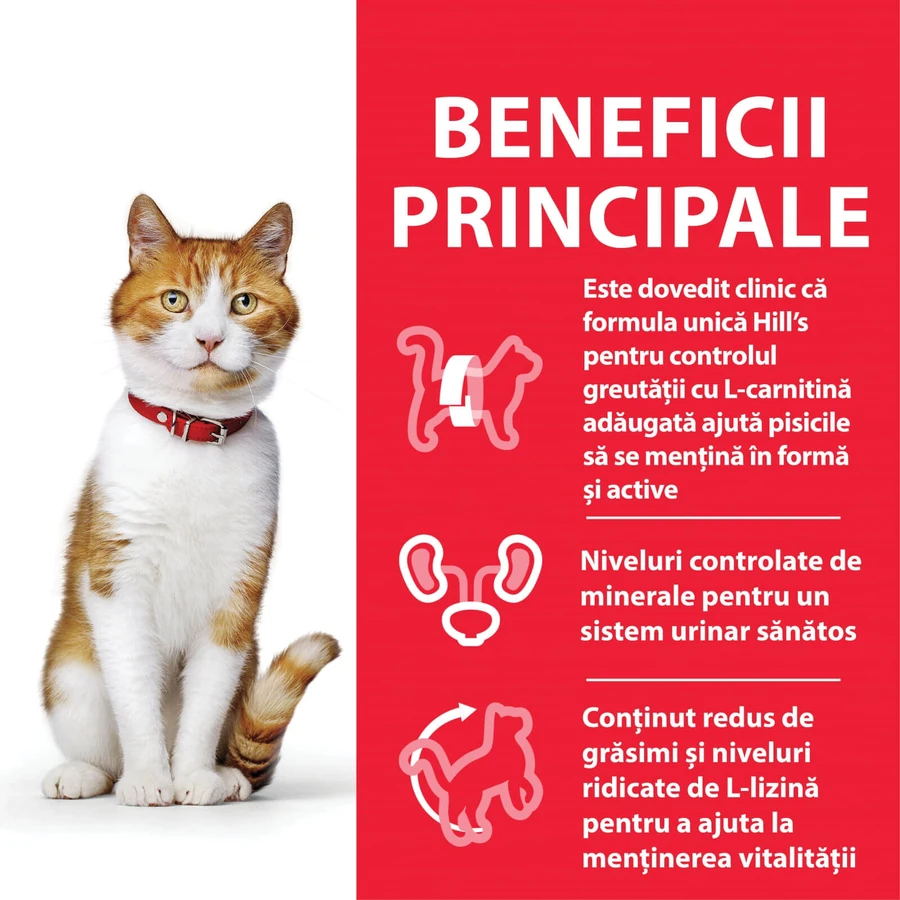 HILL'S SCIENCE PLAN Adult Sterilized, Pollo, alimento seco para gatos esterilizados, 300g