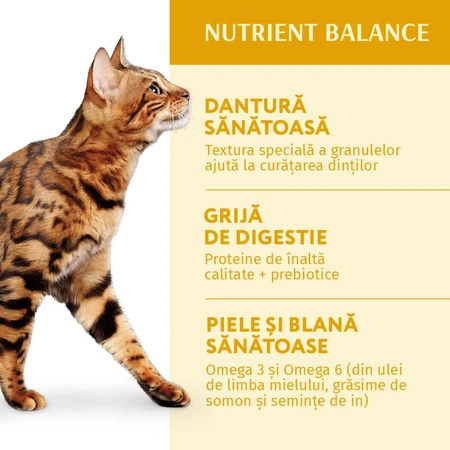 OPTIMEAL, Kip, droogvoer voor katten, 700g