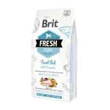 BRIT Verse Spieren & Gewrichten Adult L-XL, Vis met Pompoen, graanarm droogvoer voor honden, 2,5kg