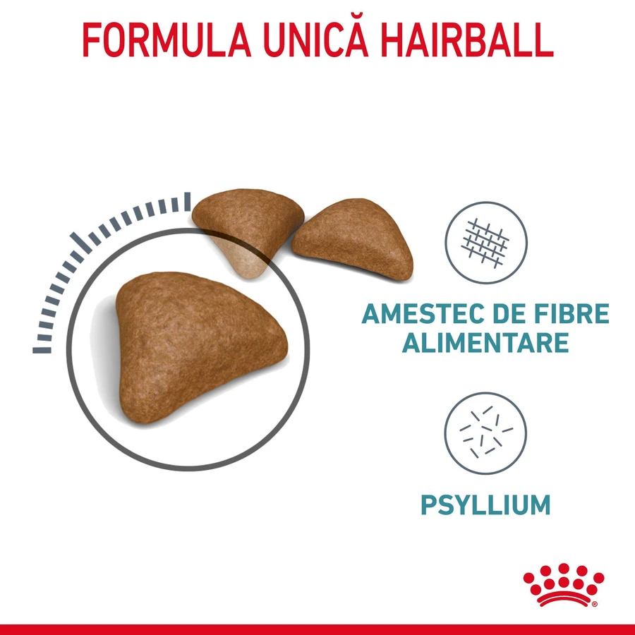 ROYAL CANIN Hairball Care Adult, dry cat food, hairball control, 2kg