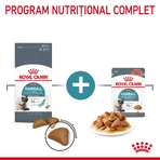 ROYAL CANIN Hairball Care Adult, dry cat food, hairball control, 2kg