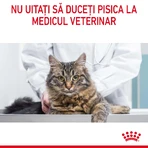 ROYAL CANIN Hairball Care Adult, dry cat food, hairball control, 2kg