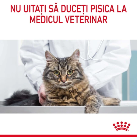 ROYAL CANIN Hairball Care Adult, dry cat food, hairball control, 2kg
