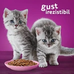 WHISKAS Junior Classic Selections, Rund en Kip, zakje natvoer voor junior katten, (in aspic), multipack, 85g x 4