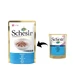 Schesir