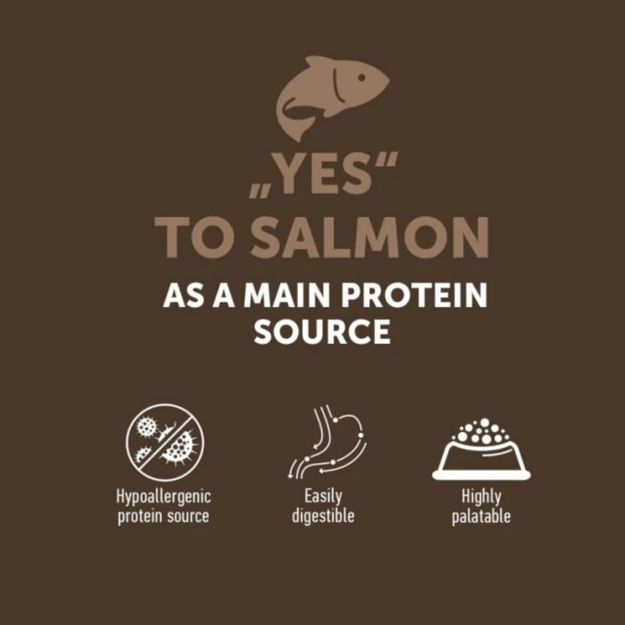 NATURES PROTECTION Lifestyle Kitten, Zalm, graanvrij droogvoer voor jonge katten, 400g