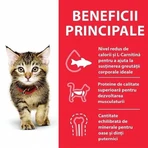Hill's SP Feline Feline Kitten Chicken, 3 Kg
