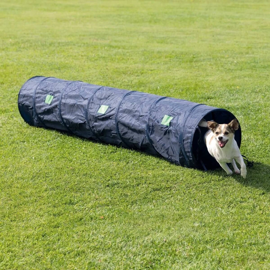 TRIXIE Behendigheidstunnel, hindernisspeeltje voor honden, 40cm x 2m, veelkleurig