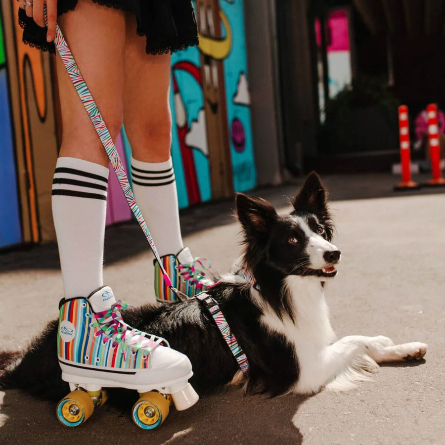 MAX & MOLLY Smart ID Magic Magic Zebra, dog collar, adjustable, polyester, white, trident buckle, XS(22-35 x 1cm)