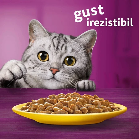 WHISKAS Selections Gevogelte, Kip en Kalkoen, zakjes nat kattenvoer, (in saus), multipack, 85g x 4