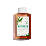 Shampoo antiforfora con Galangal, 200 ml, Klorane