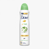 Deodorant voor vrouwen Komkommer, 150 ml, Dove