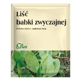 Flos Plantain feuille, tisane, 50 g