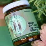 Wellbear Maca (ginseng van Peru), capsules, 60 st.