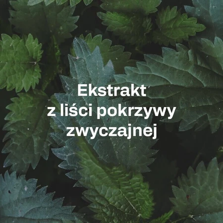 OstroVit Pharma Perspicare, capsule, 90 buc.