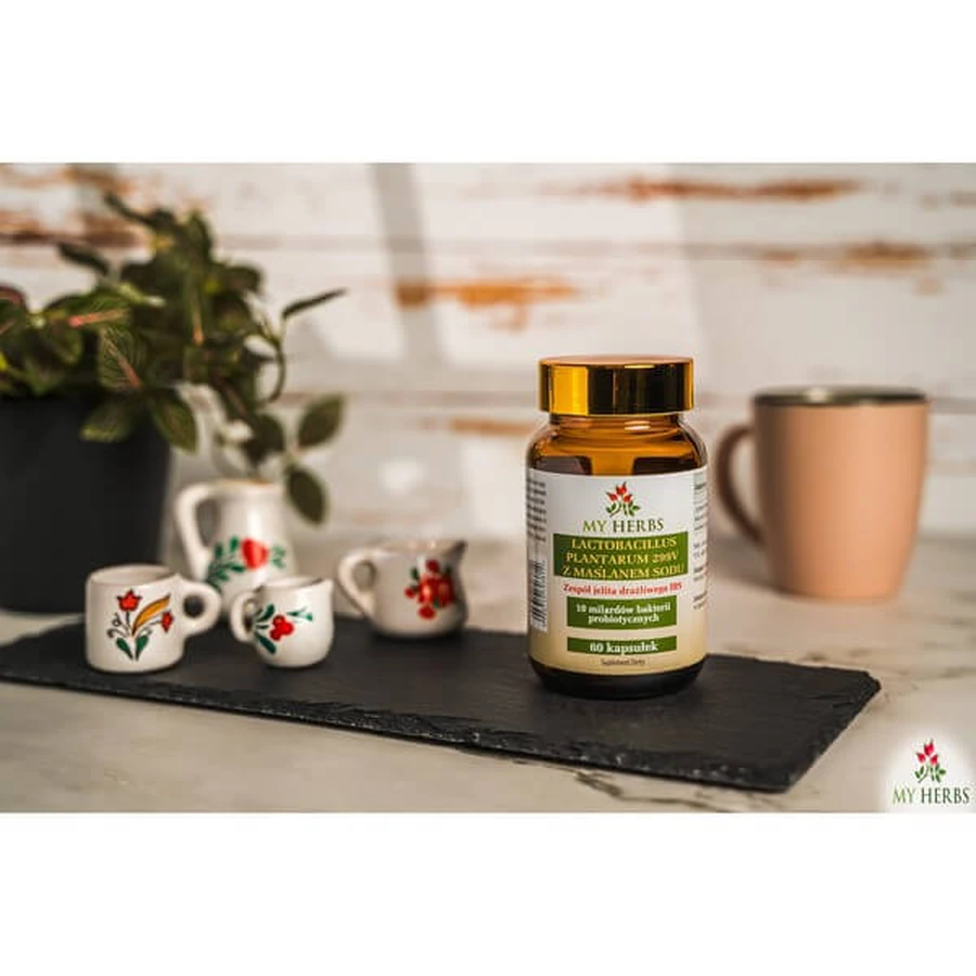 My Herbs Lactobacillus Plantarum 299V met natriumbutyraat, capsules, 60 st.
