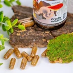 Wellbear Vitale Paddenstoelen, capsules, 60 st.
