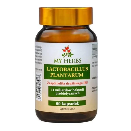 My Herbs Lactobacillus Plantarum, capsules, 60 pcs.