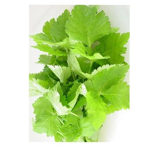 Perilla Foglie Taglio Tisana 100 Gr