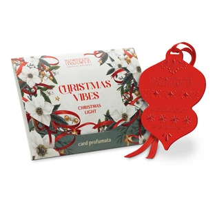 Karta do Nasoterapii Prof. Christma