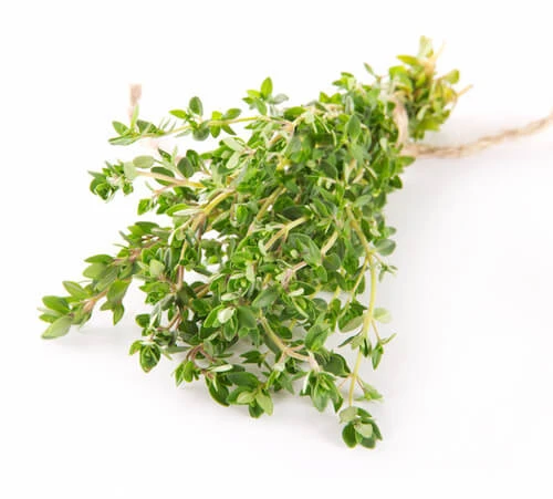 Tijm Vulgaris Bladeren 100 Gr