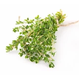 Tijm Vulgaris Bladeren 100 Gr