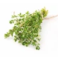 Thyme Vulgaris Leaves 100 Gr