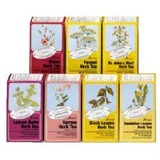 Floradix Pepermuntinfusie BIo 15 Filters