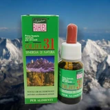 Mezcla Aceites 31 Hierbas Grado Alimenticio 15ml
