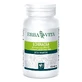 Echinacea 125tav 400mg