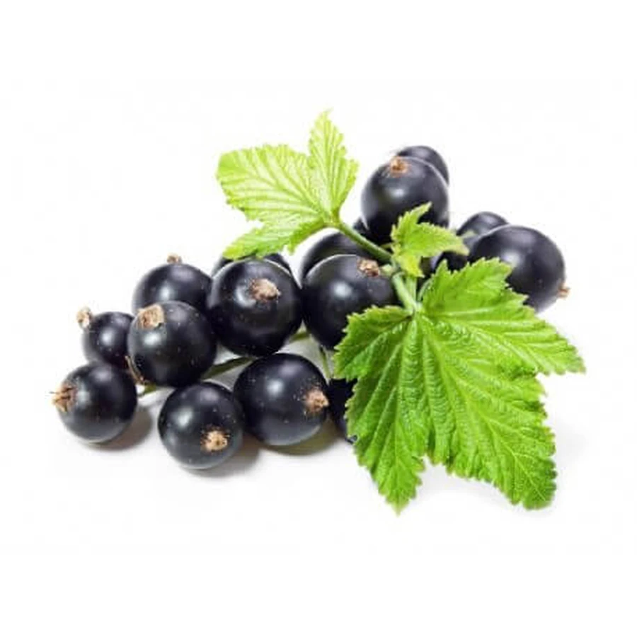 Ribes Nero Frutti 100 Gr
