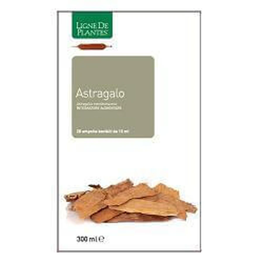 ASTRAGALUS 20SPRINGS 15ML: ceny i cechy