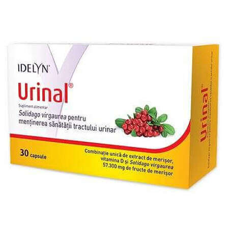 Idelyn Urinal, 30 capsules, Walmark