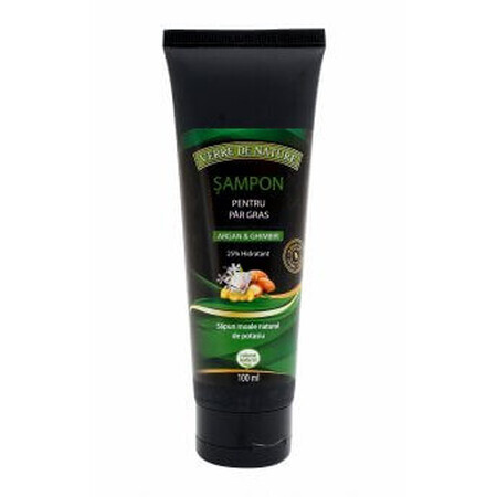 Shampoo for oily hair with argan, ginger and vegetable complex 100 ml, Verre de Nature