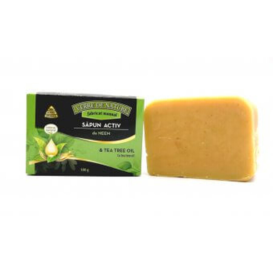 Active Neem Soap with Tea tree oil 100 g Verre de Nature