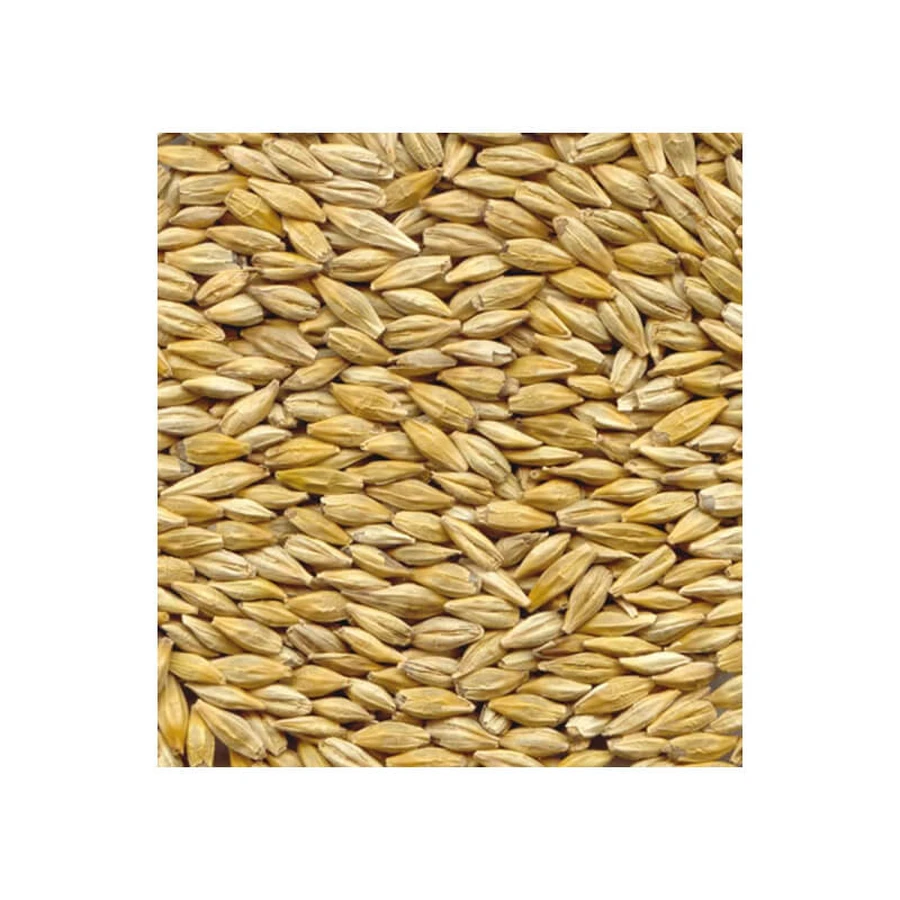 Graines d'orge (caryopses) habillées 100 gr.